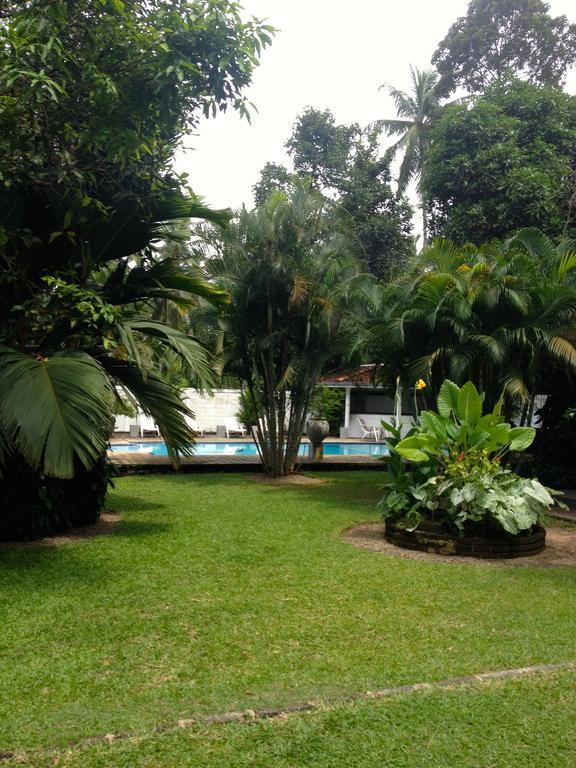 Fire Dragon Hideaway Hotell Negombo Eksteriør bilde