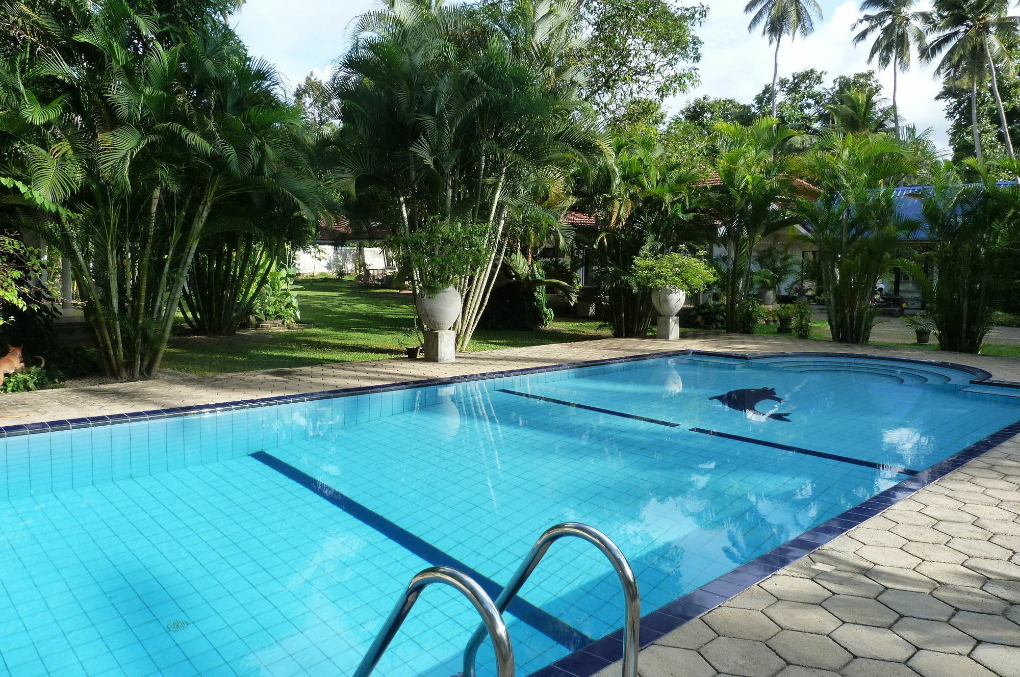 Fire Dragon Hideaway Hotell Negombo Eksteriør bilde