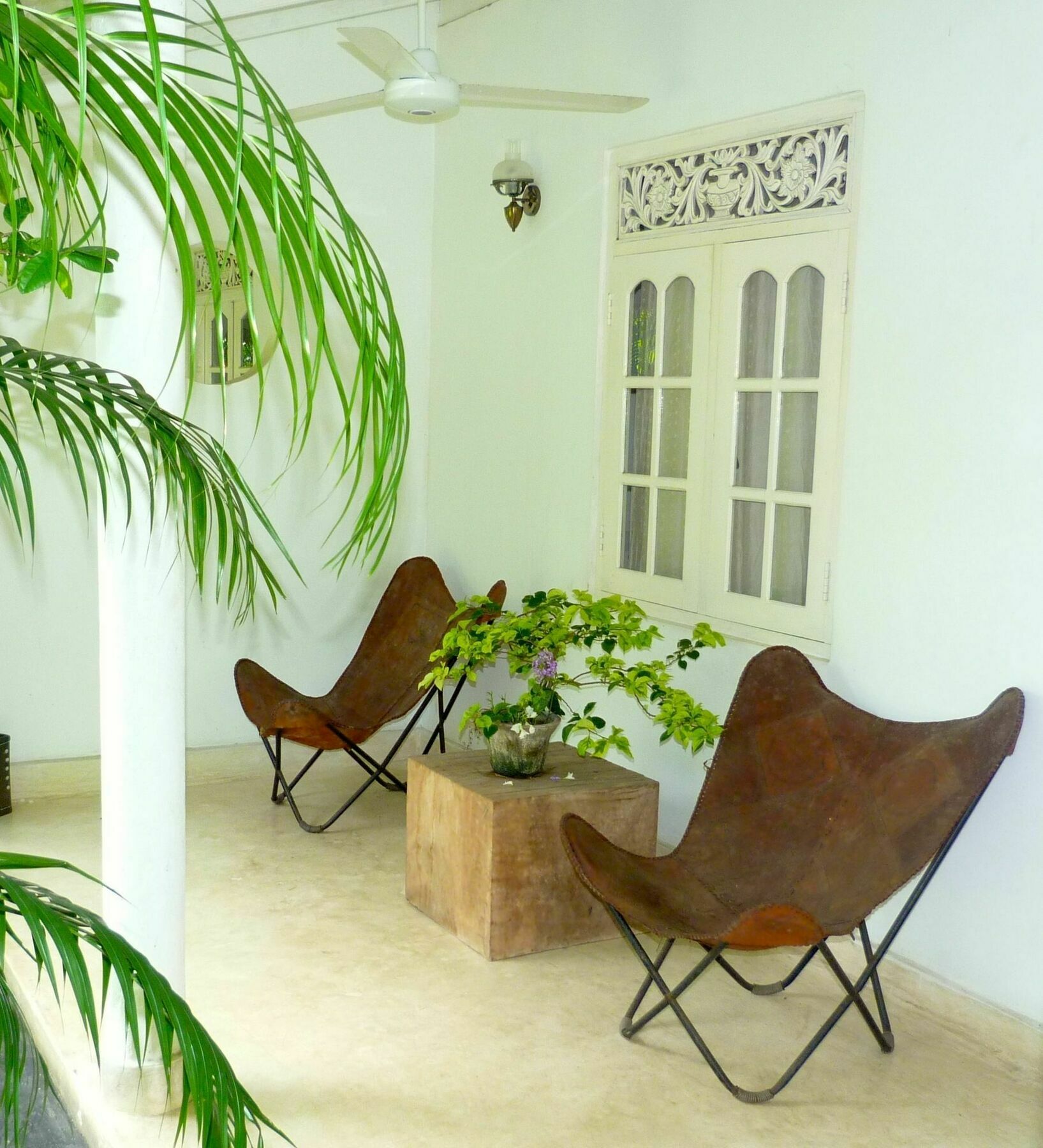Fire Dragon Hideaway Hotell Negombo Eksteriør bilde