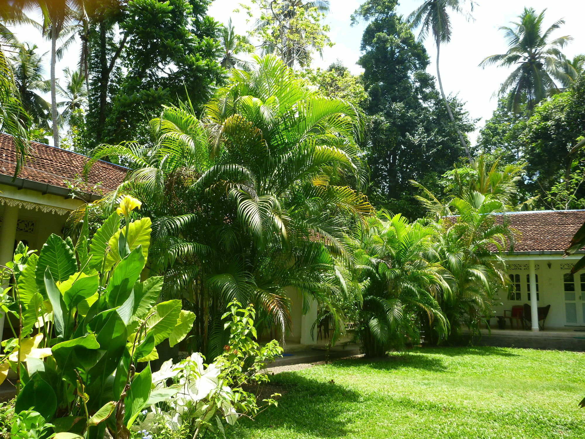 Fire Dragon Hideaway Hotell Negombo Eksteriør bilde